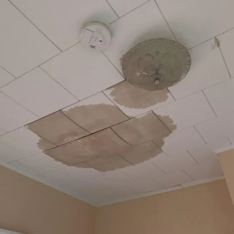 Ceiling Water Damage Repair in Hebron, KY