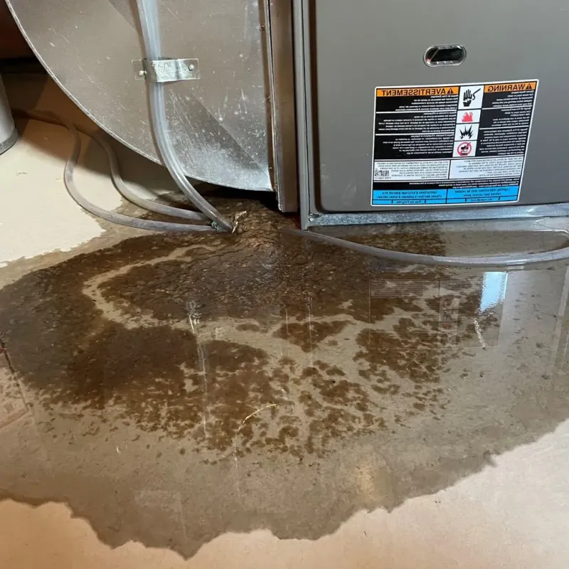 Pipe Burst and Leak Restoration in Hebron, KY
