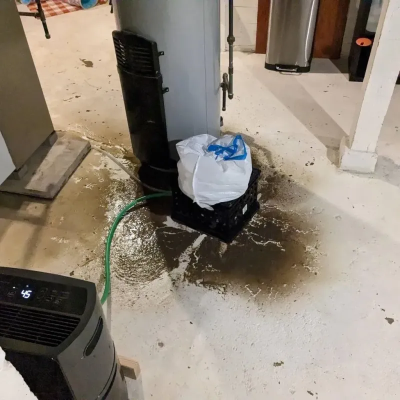 Sewage Backup Cleanup Service in Hebron, KY